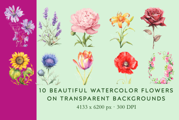 Timeless Florals: A Guide to Vintage Watercolor Flower Illustrations